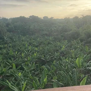 https://complejo-ecoturistico-rancho-cielo.comcaribbean.com